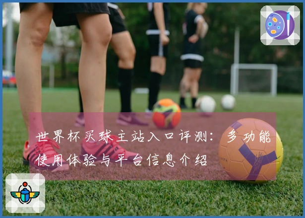 世界杯买球主站入口评测：多功能使用体验与平台信息介绍