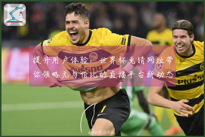 提升用户体验，世界杯竞猜网址带你领略无与伦比的直播平台新动态