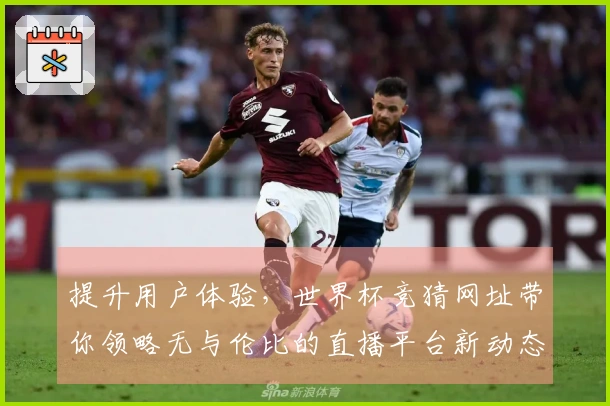 提升用户体验，世界杯竞猜网址带你领略无与伦比的直播平台新动态