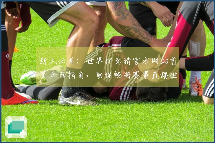 新人必看：世界杯竞猜官方网站首页全面指南，助你畅游赛事直播世界