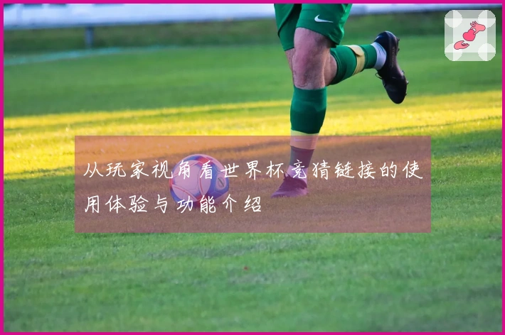 从玩家视角看世界杯竞猜链接的使用体验与功能介绍