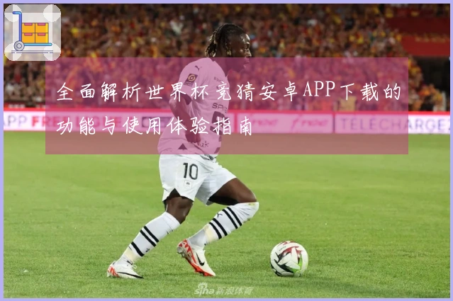全面解析世界杯竞猜安卓APP下载的功能与使用体验指南