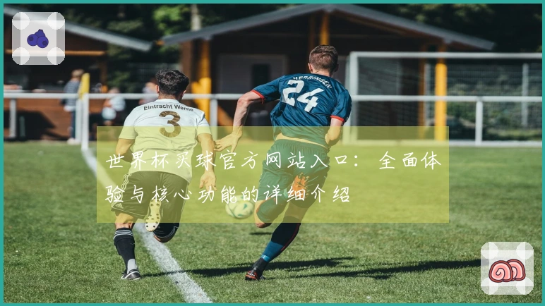 世界杯买球官方网站入口：全面体验与核心功能的详细介绍